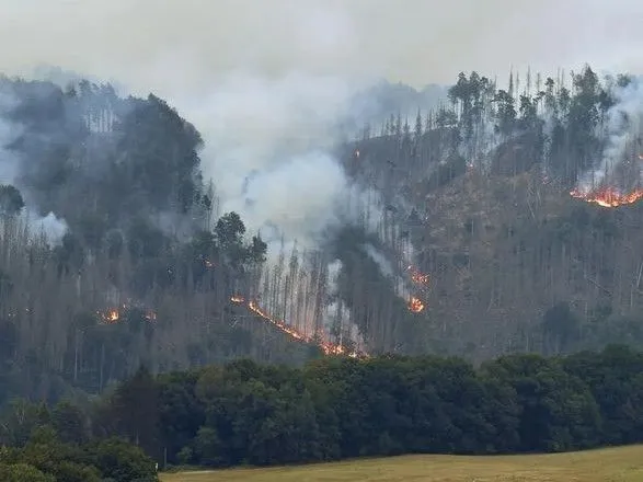 Сотні пожежників гасять лісові пожежі в Німеччині та Чехії
