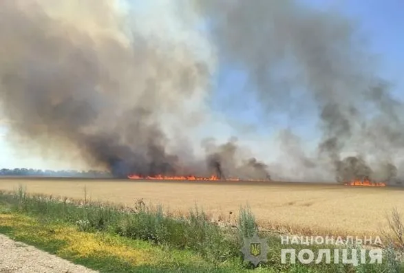 рашисты обстреляли поле озимого ячменя возле Чернобаевки: уничтожено более 200 гектаров посевов