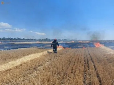 Миколаївщина: внаслідок нічного ворожого обстрілу знищено 230 га врожаю пшениці