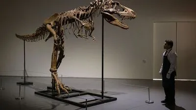 Скелет рідкісного Горгозавра продано за 6,1 млн доларів на аукціоні в Нью-Йорку