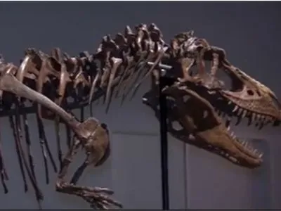 Рідкісний скелет динозавра продано за 6,1 мільйона доларів