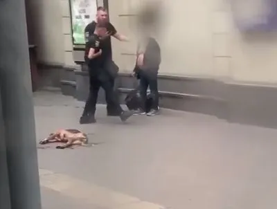 У Львові поліцейський застрелив собаку: призначено службове розслідування щодо правомірності використання зброї