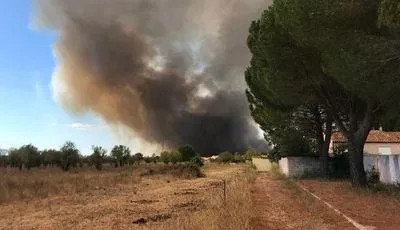 Во Франции вспыхнули новые лесные пожары