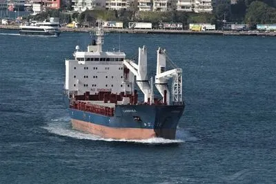 Пришвартованное в Ливане сирийское судно везло из Крыма муку, пшеницу же украли в Бердянске - посол