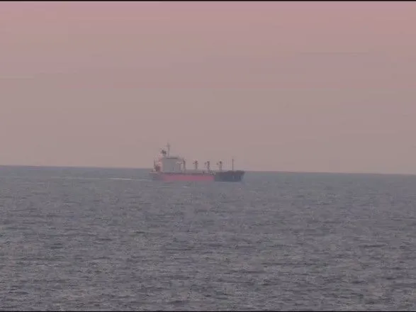 Досмотр первого судна с зерном возле Стамбула начнется в 10 часов - минобороны Турции