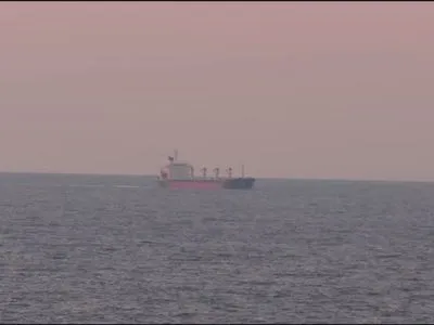 Досмотр первого судна с зерном возле Стамбула начнется в 10 часов - минобороны Турции