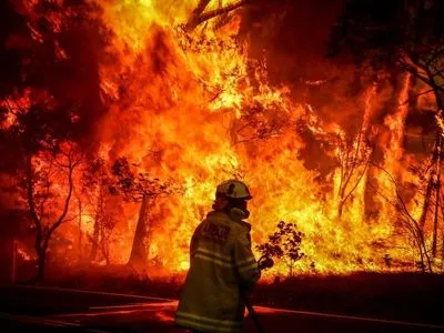 Лесной пожар в Калифорнии: количество погибших выросло до четырех человек