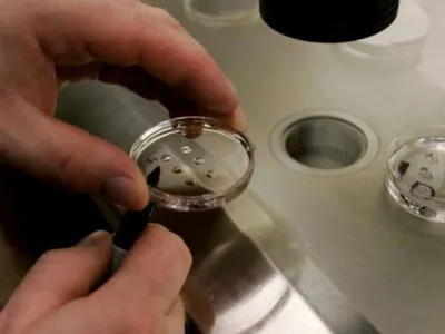 В Израиле исследователи создали первый синтетический эмбрион