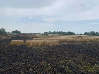 В Житомирской области в результате российских обстрелов сгорело поле украинской пшеницы