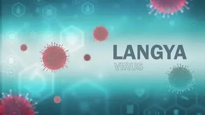 Вчені досліджують в Китаї нещодавно виявлений вірус Langya  - результати звіту