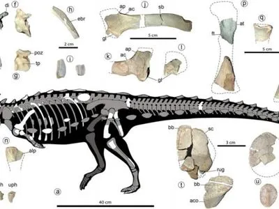 В Аргентине ученые обнаружили останки динозавра с броней и шипами
