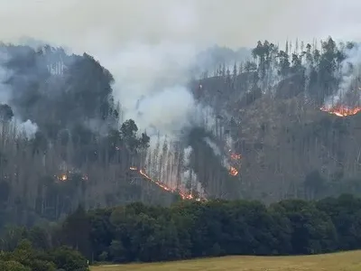 Европа на пути к новому рекорду по лесным пожарам