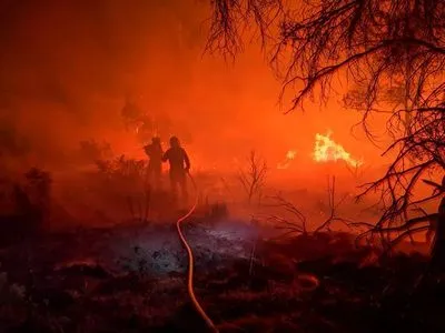 Огромный лесной пожар в Испании уничтожил тысячи гектаров