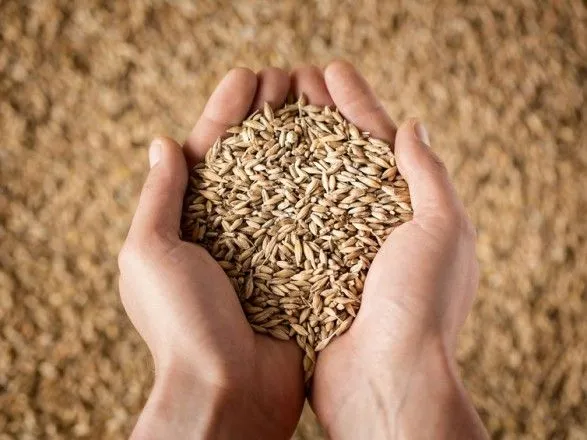 США виділять 68 млн доларів на закупівлю української пшениці – Блінкен