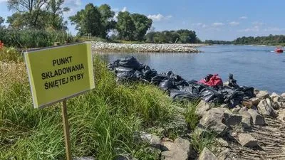 Правительство Польши подтвердило находку ядовитых водорослей в реке Одер