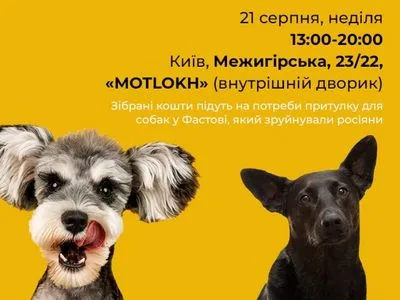 У Києві відбудеться третя благодійна барахолка СобаняCharity