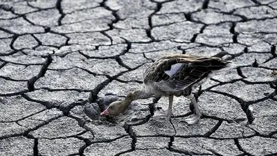 Європі загрожує найсильніша посуха за 500 років