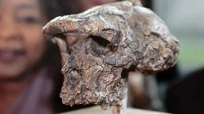 Дослідження показало, що найдавніший предок людини, який жив 7 млн років тому, був прямоходячим