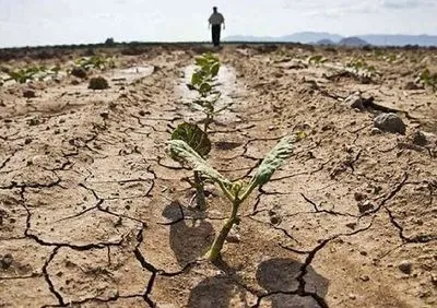 Посуха в Європі може зачепити Україну - доповідь ЄС