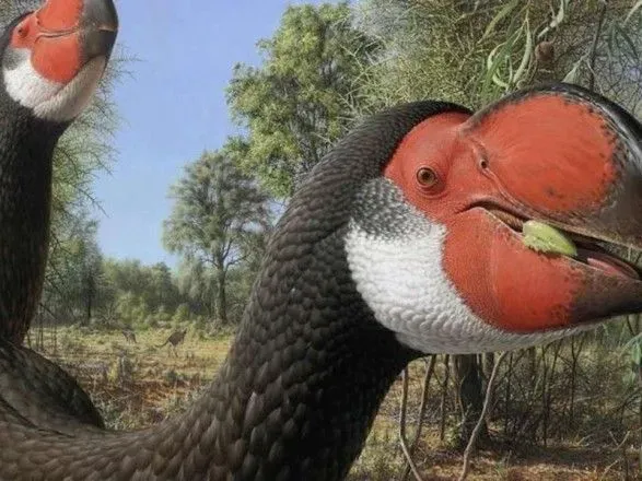 Дослідники назвали причину загибелі найбільших птахів на планеті