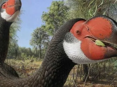 Исследователи назвали причину гибели величайших птиц на планете