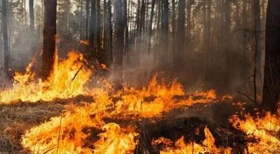В Україні площа лісових пожеж у цьому році збільшилася у понад 70 разів