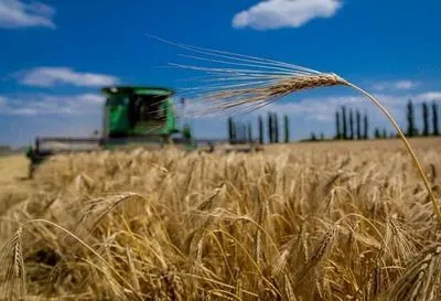 Украинские аграрии собрали более 25 млн. тонн зерна нового урожая