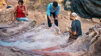 В Португалии обнаружили скелет огромного динозавра