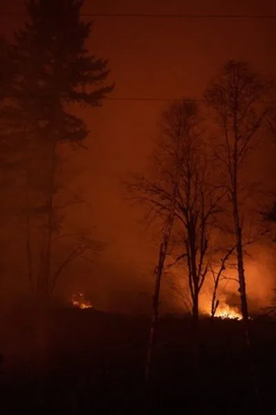 На Николаевщине горят леса из-за обстрелов оккупантов: ущерб окружающей среде составил более 111 млн грн