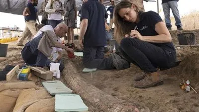 В Израиле обнаружен редкий бивень слона в возрасте 500 000 лет