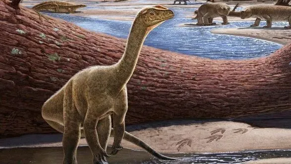Древнейшего динозавра Африки найдено в Зимбабве