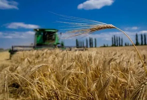 Жатва-2022: сбор ранних зерновых подходит к завершению