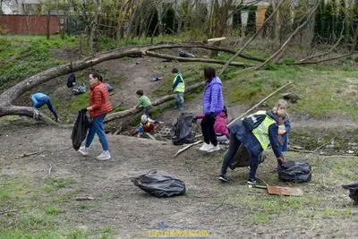 "Благодарность за поддержку Украины": в Кракове проведут уборку местного парка