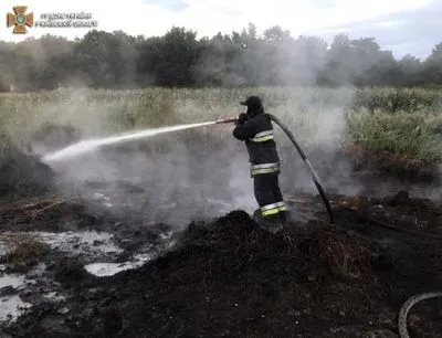 У Київській області досі гасять дві торф'яні пожежі