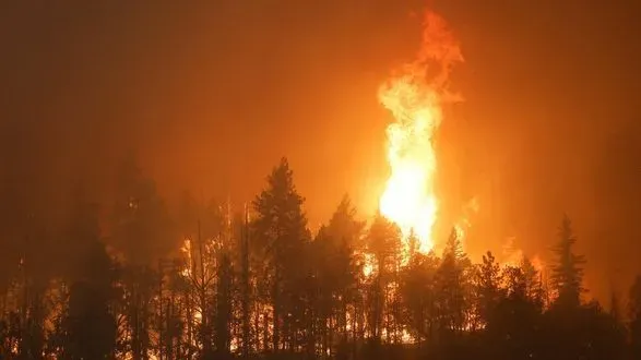 Двое погибших, тысячи вынуждены бежать из-за лесных пожаров в Калифорнии
