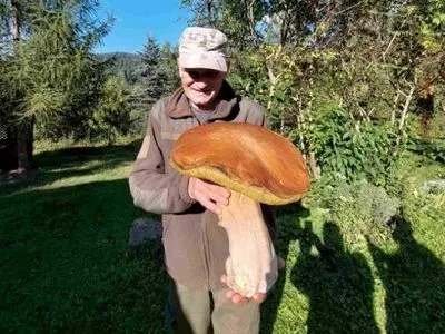 У Карпатах знайшли гриб-гігант