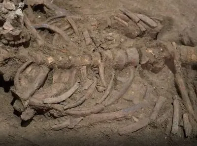 Вчені знайшли докази найдавнішої з відомих операцій, проведеної 31 000 років тому