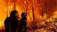 Нові лісові пожежі охопили південний захід Франції через рекордну спеку