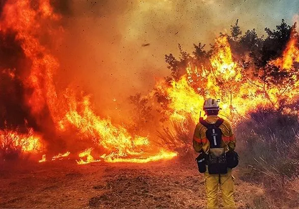 На південному заході Туреччини сталися лісові пожежі