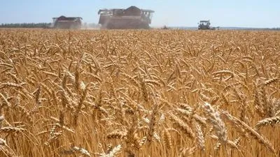 Война в Украине может привести к росту долгосрочных цен на зерно на 7%