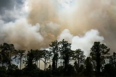 На Миколаївщині вигоріло майже 4 тис гектарів території Кінбурнського півострова