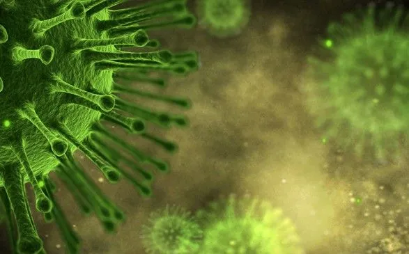 Цього року в Україні очікують циркуляцію чотирьох штамів грипу