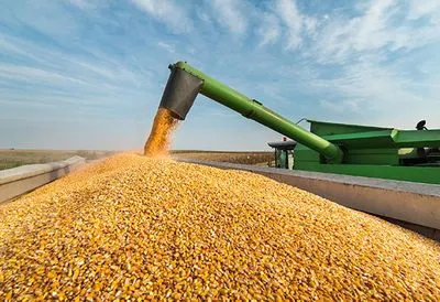 Аграрии в Украине начали молотить кукурузу