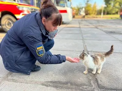 "Рыжик заступил на дежурство": столичных спасателей, которые разбирают завалы на Харьковщине, не оставляют коты и собаки