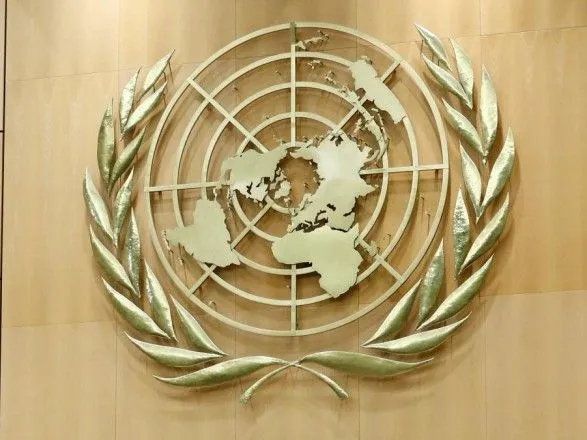 Турция выступает за отмену права "вето" в системе Совета безопасности ООН
