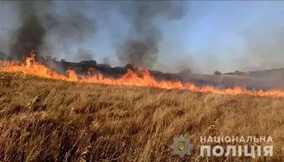 Оккупанты нанесли ущерб окружающей среде Украины на более 35 млрд долларов