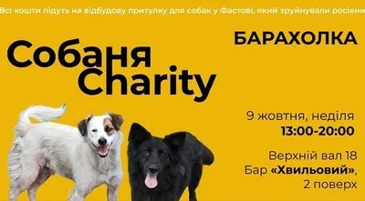 В Киеве в воскресенье состоится благотворительная барахолка СобаняCharity