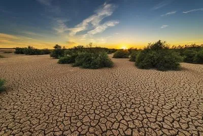 Климатический кризис сделал летнюю засуху в 20 раз более вероятной - ученые