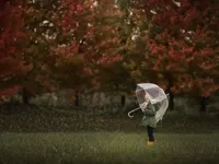 Знову поверне на осінь: синоптики дали дощовий прогноз