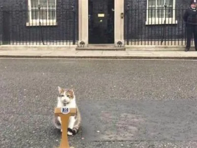 Король попросил меня стать премьером: кот Ларри с Даунинг-стрит потроллил Лиз Трасс